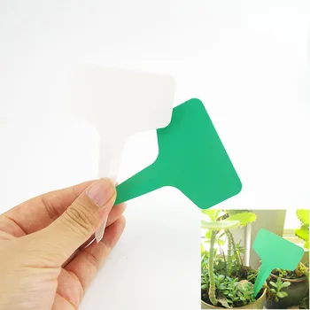 100X PVC חממה צמח T קטגוריה תוויות עציצים מפלסטיק סמנים שלט עמיד למים עשבי תיבול גן הצמח כלים אספקה