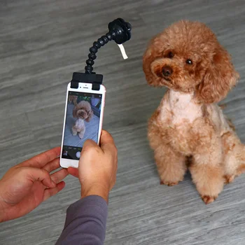 מחמד Selfie מקל על כלבים חתול צילום כלים מחמד אינטראקציה צעצועים להתרכז ספקי הדרכה כלב אביזרים זרוק משלוח