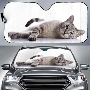 הבריטי פוינטר חתול על רקע לבן המכונית שמשיה, פוינטר אנגלי חמוד חתלתול חתול על רקע לבן אוטומטי, שמש, צל, Wi