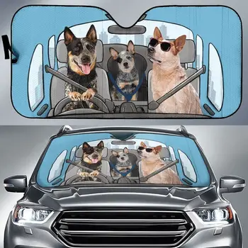 אוסטרלי Heeler משפחה לובש משקפי שמש נהיגה במכונית כחולה שמשיה על Heeler המאהב, בקר אוסטרלי כלב אוטומטי על שמשיה