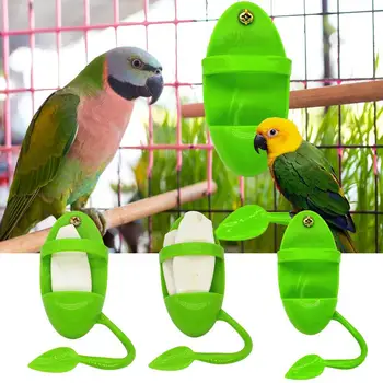 Cuttlebone מחזיק ציפור בכלוב דיונונים עצם מחזיקי כלוב ציפורים האכלה כוסות כלוב ציפורים אביזרים פירות ירקות אחסון